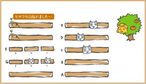 みーさんボード091017