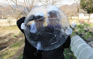 ice