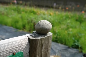 10051501