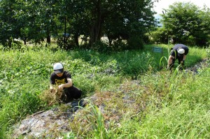 100724work_01