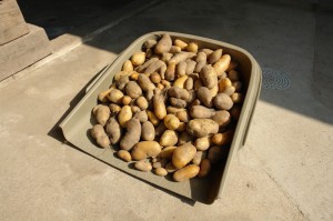 100724work_03