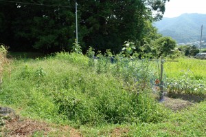 100724work_05